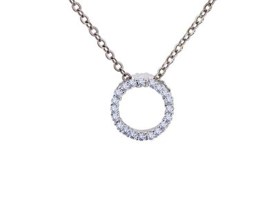 14ct White Gold Diamond Circle of Life Pendant 14dah0022