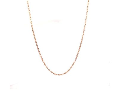 9ct Yellow Gold Forza Chain Necklace  9gk1316
